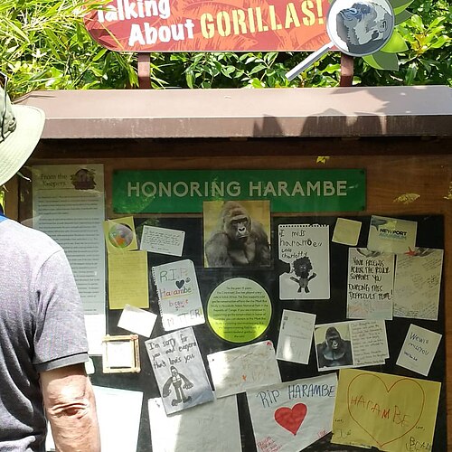 Harambe — historical reference